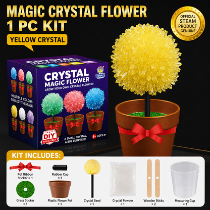 Crystal Growing Kit with 6 Crystals for science experiment, steam learning, birthday gift