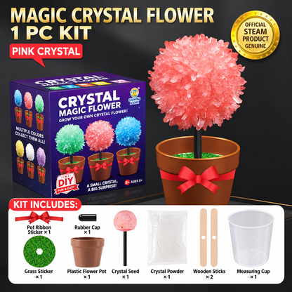 Crystal Growing Kit with 6 Crystals for science experiment, steam learning, birthday gift