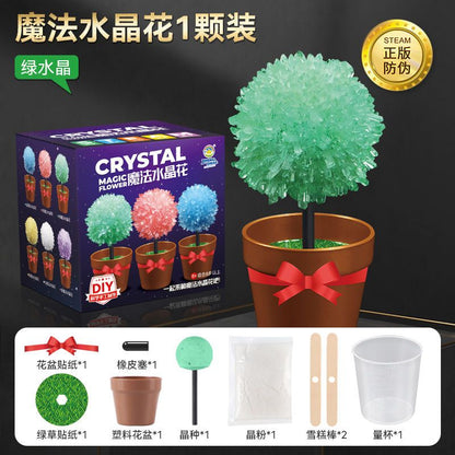 Crystal Growing Kit with 6 Crystals for science experiment, steam learning, birthday gift
