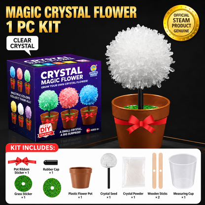 Crystal Growing Kit with 6 Crystals for science experiment, steam learning, birthday gift