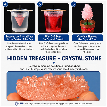 Crystal Growing Kit with 6 Crystals for science experiment, steam learning, birthday gift
